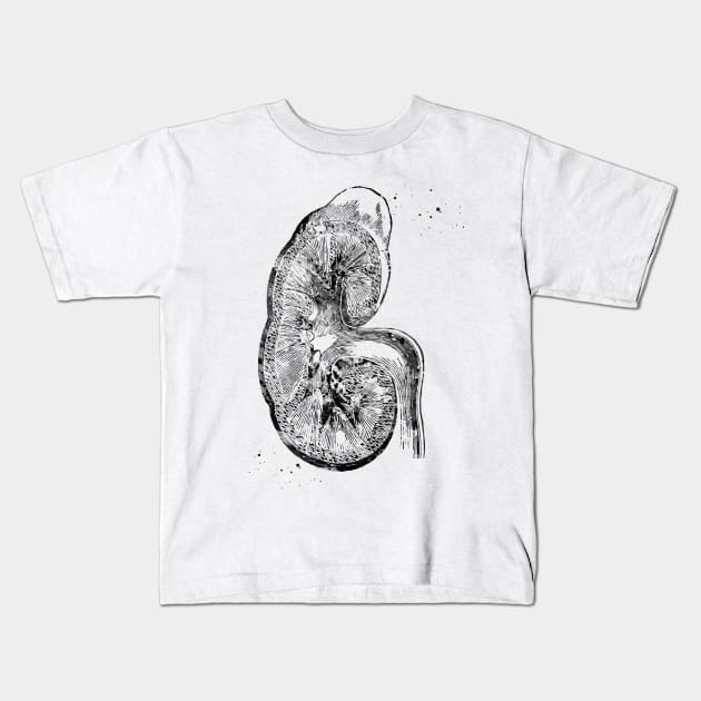 Kidney section Kids T-Shirt by erzebeth